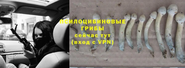 спиды Алексеевка