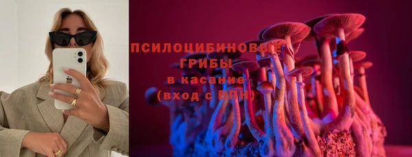 молекула духа Алзамай