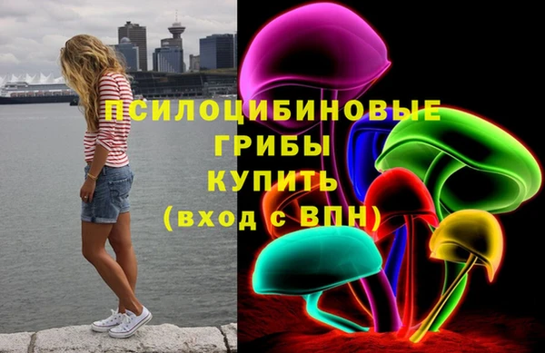 молекула духа Алзамай