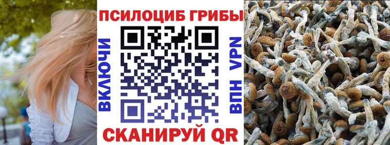 Псилоцибиновые грибы Magic Shrooms  Перевоз 